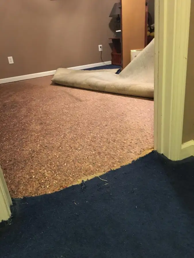 Carpet pad removal revealing water damage during Drying & Dehumidification in Cutler Bay