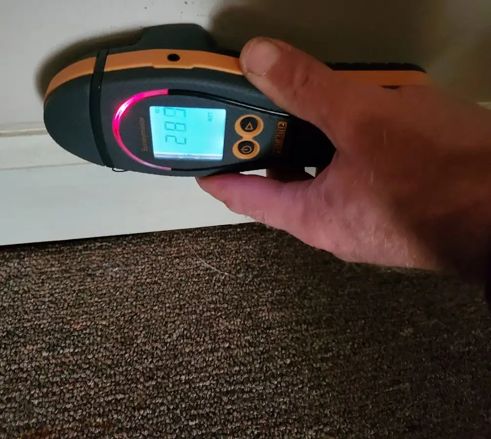 Moisture detection at baseboard during Mold Inspection & Testing in Cutler Bay